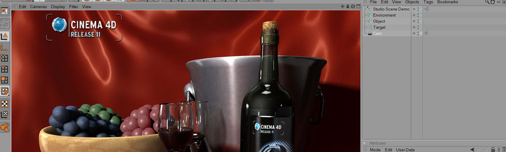 Cinema 4D Introduction Course